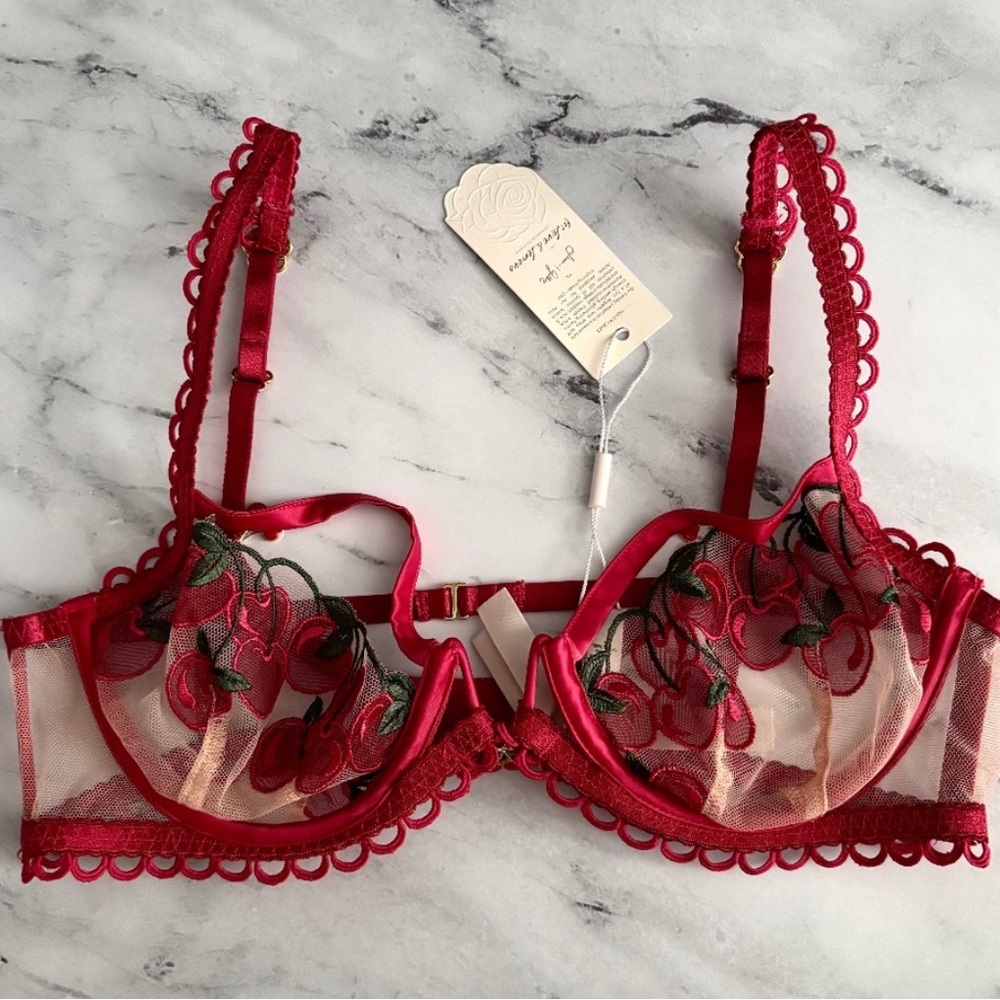 For Love and Lemons mesh Cherry Cherise bra